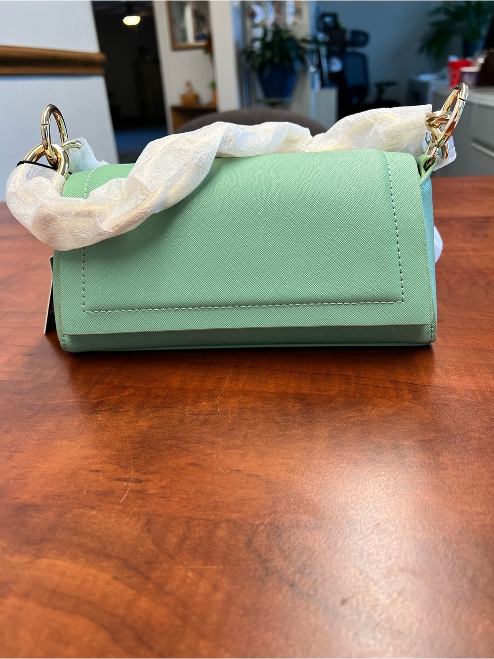 Mint Green vegan leather crossbody bag with Gold Hardware and chain. NWT